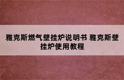 雅克斯燃气壁挂炉说明书 雅克斯壁挂炉使用教程